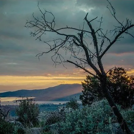 αρίων Δελφοί