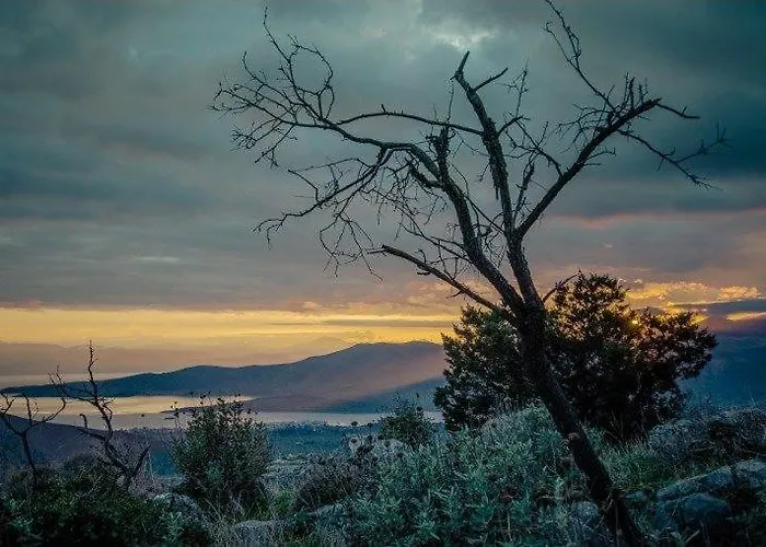 αρίων Δελφοί